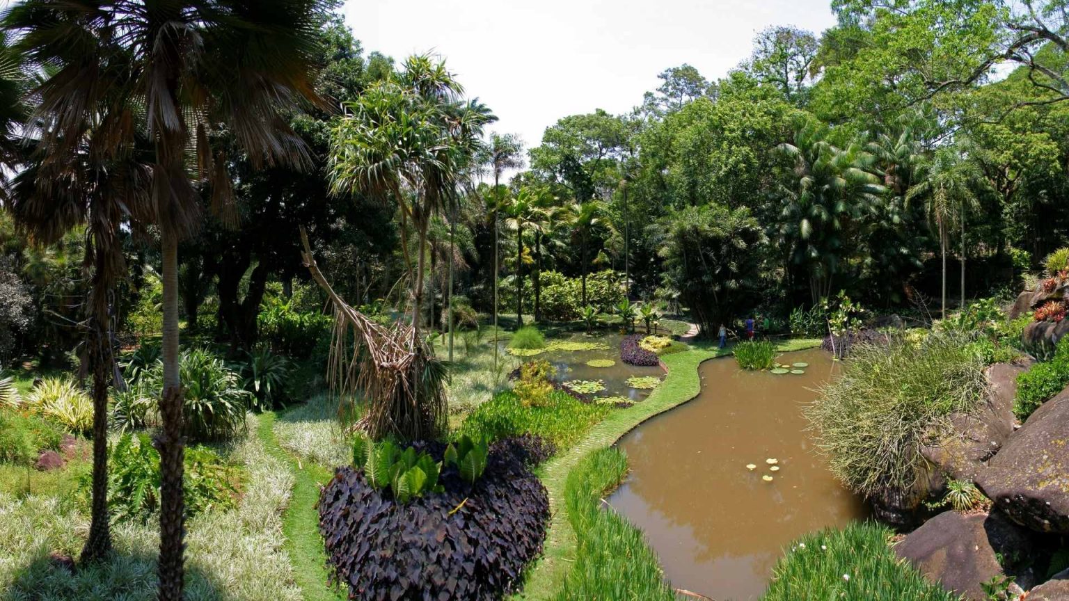 Voc Conhece O S Tio Burle Marx Sou Carioca