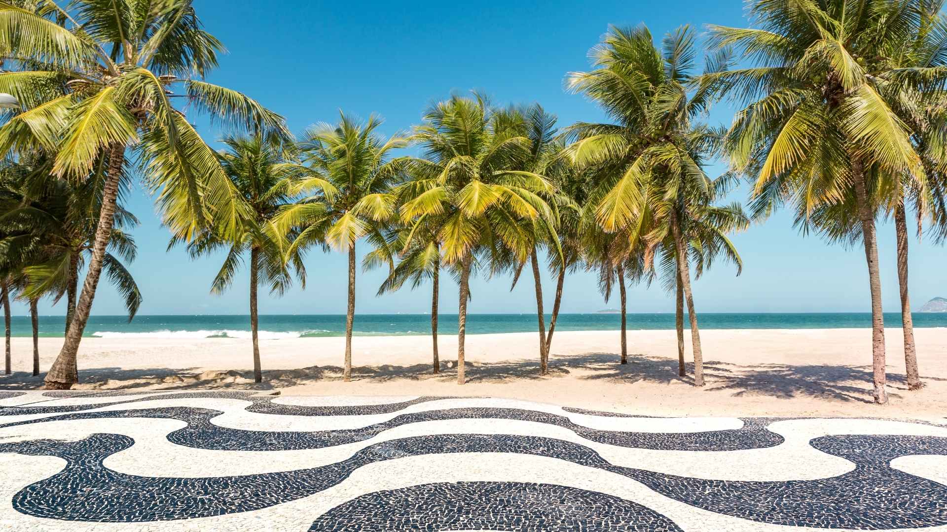 Você conhece Burle Marx e seus jardins Sou Carioca