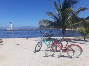 Paquetá de Bike