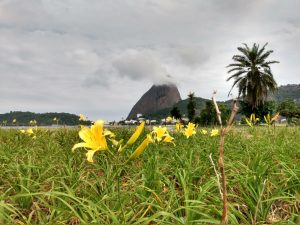 Tour Parque do Flamengo Sou Mais Carioca