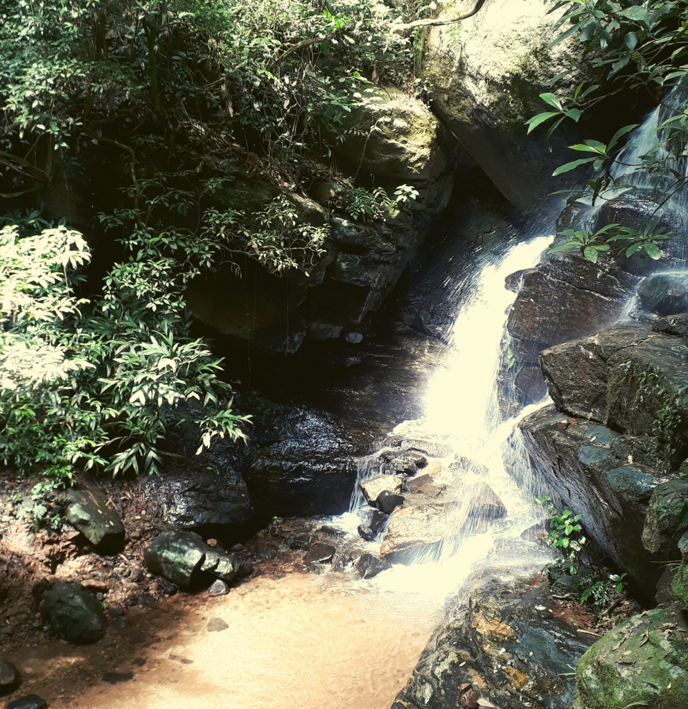 Circuito Cachoeiras do Horto