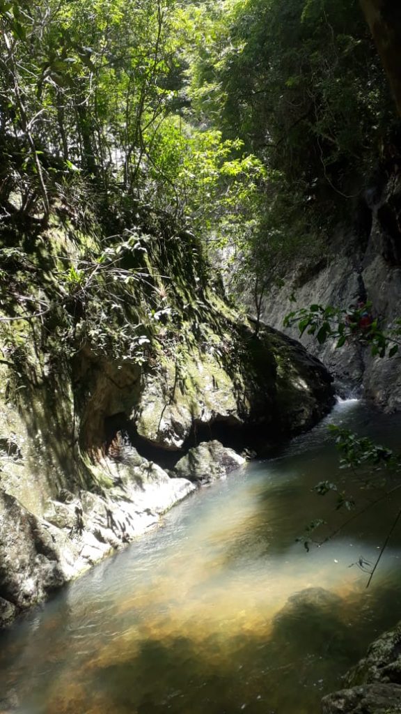 Parque Natural Nova Iguaçu Sou Mais Carioca