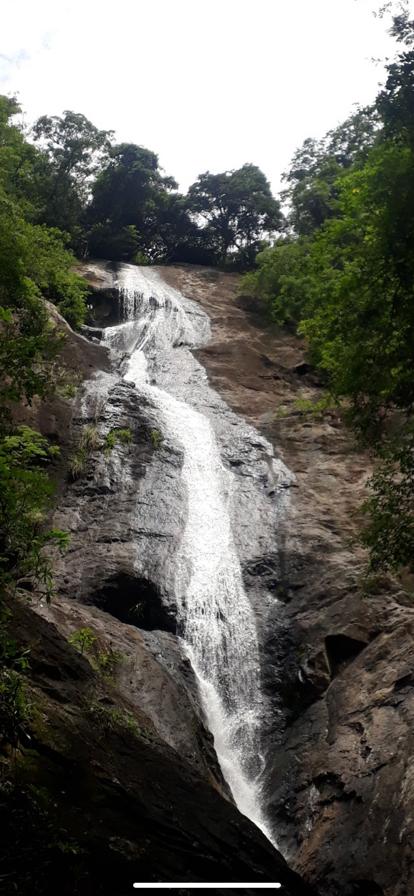 Parque Natural Nova Iguaçu Sou Mais Carioca
